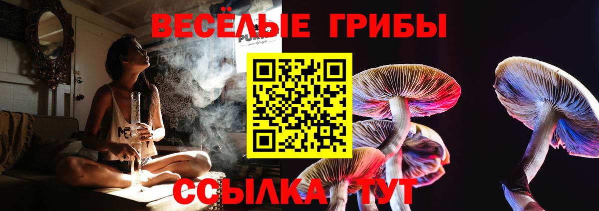 Гашиш  ГАШ  Саратов  Меф кристаллы  Вход с VPN  МЕТАДОН  Канабис  MDMA 