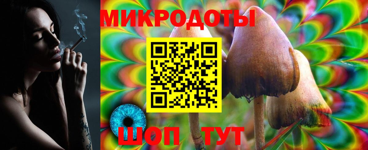 Псилоцибиновые грибы Cubensis  Вход с VPN  Саратов 